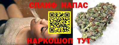 гидропоника Дубна