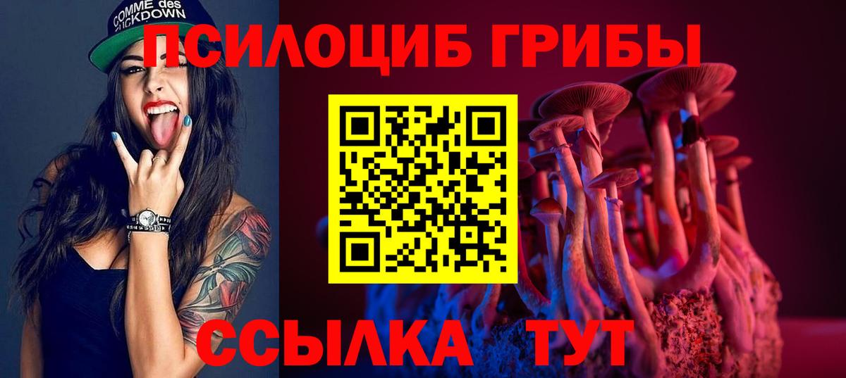 Гай  Псилоцибиновые грибы Psilocybe  цена наркотик  Вход с VPN 