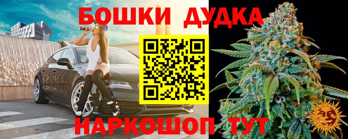 Каннабис SATIVA & INDICA Гай